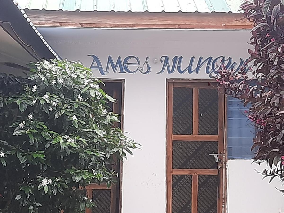 Frühstückspension Ames Nungwi